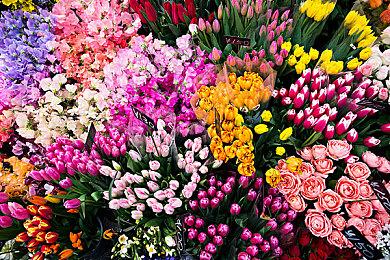 《全面战争传奇：特洛伊》Steam版9月2日发售