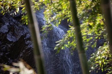 多人派对游戏《动物派对》预售开启 Steam国区售价98元